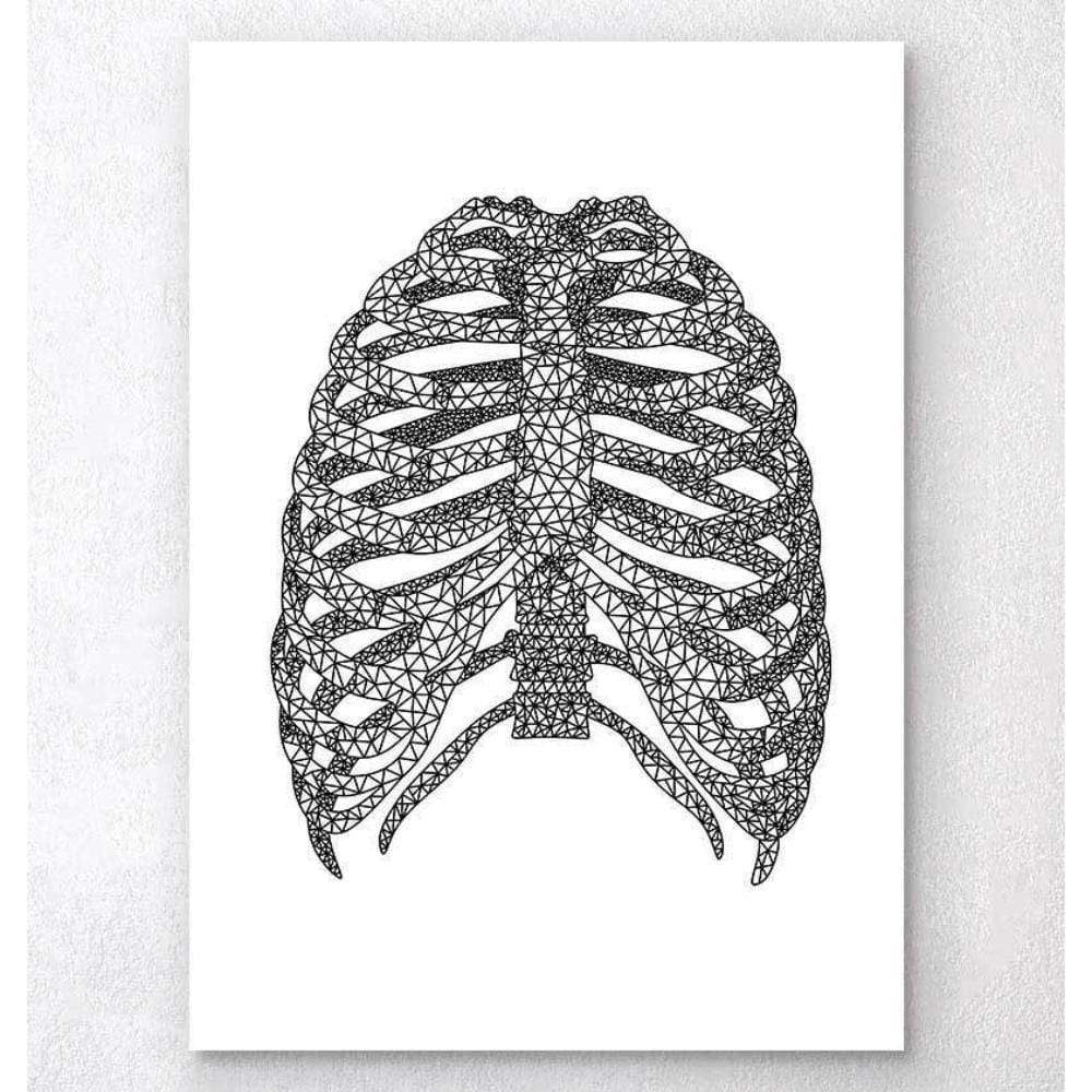 Minimal Geometric Rib Cage