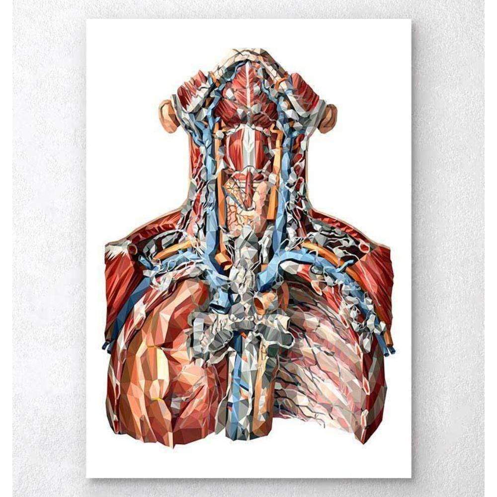 Neck Arteries And Lymphatic System Anatomy Art