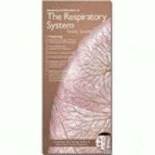 Respiratory System &amp; Disorders Study Guide