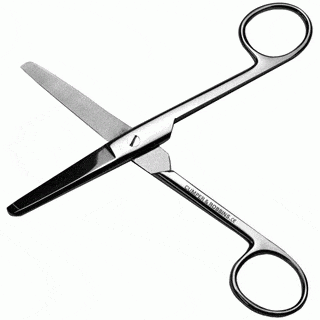 Scissors General Stainless Steel Scissors (blunt/blunt)