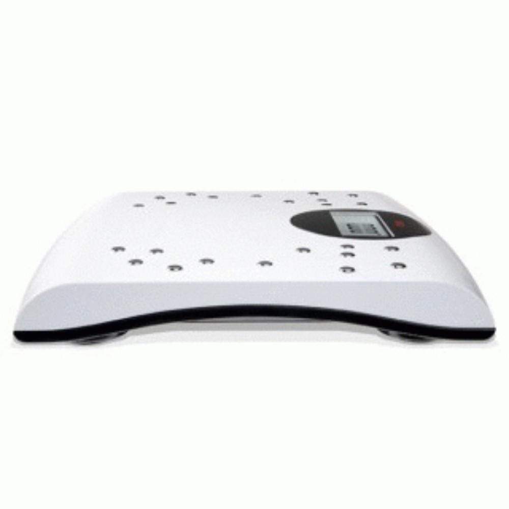 Seca 804 Flat Scale with Chromed Electrodes