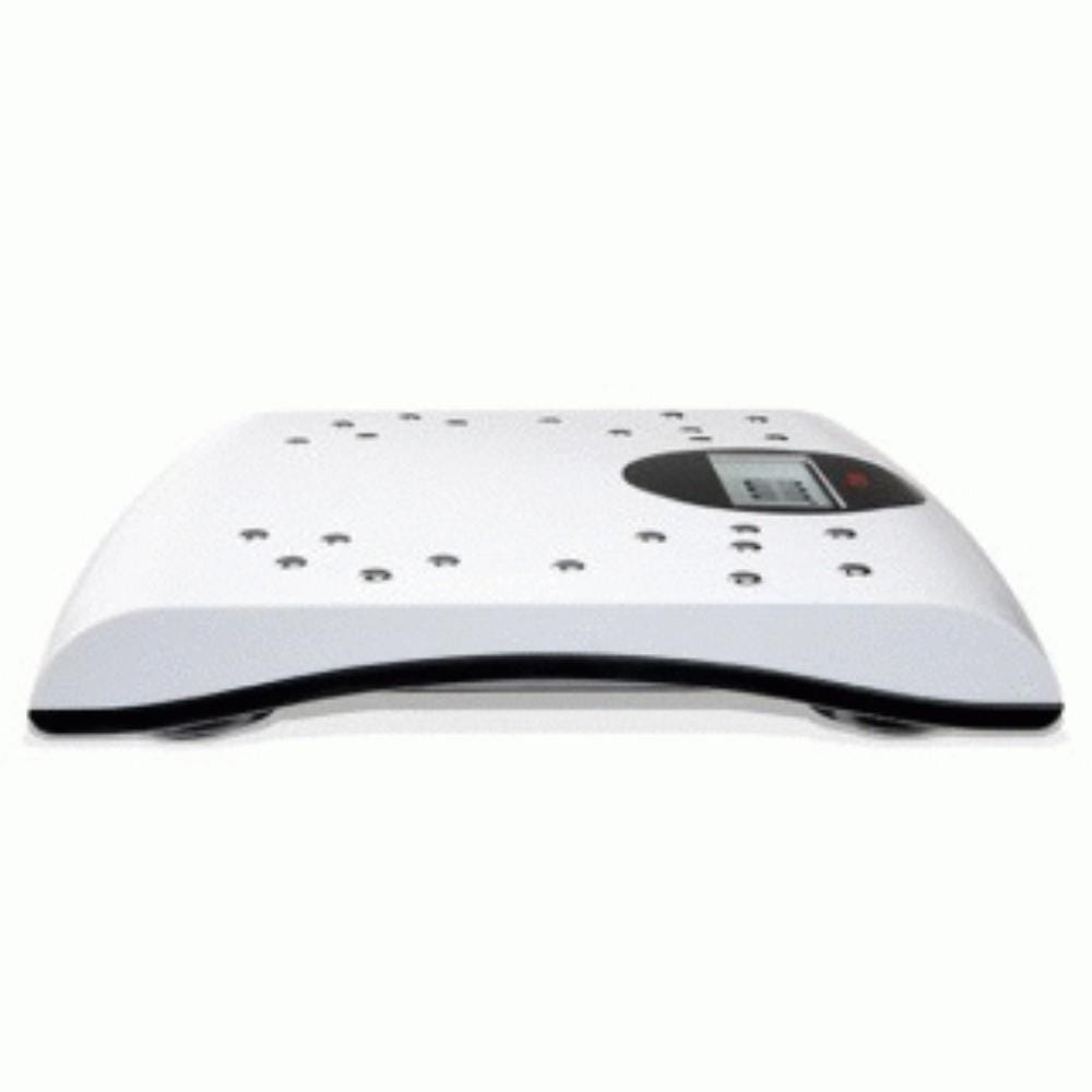 Seca 804 Flat Scale with Chromed Electrodes