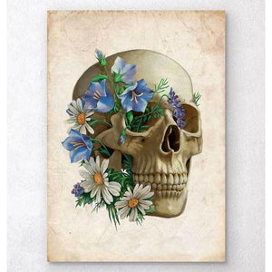 Skull Anatomy Floral Old Paper