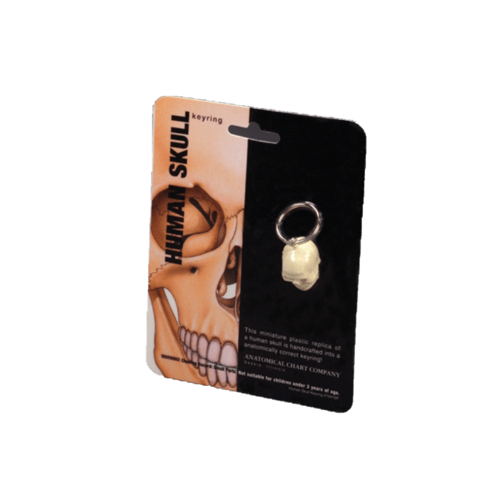Skull Key Ring