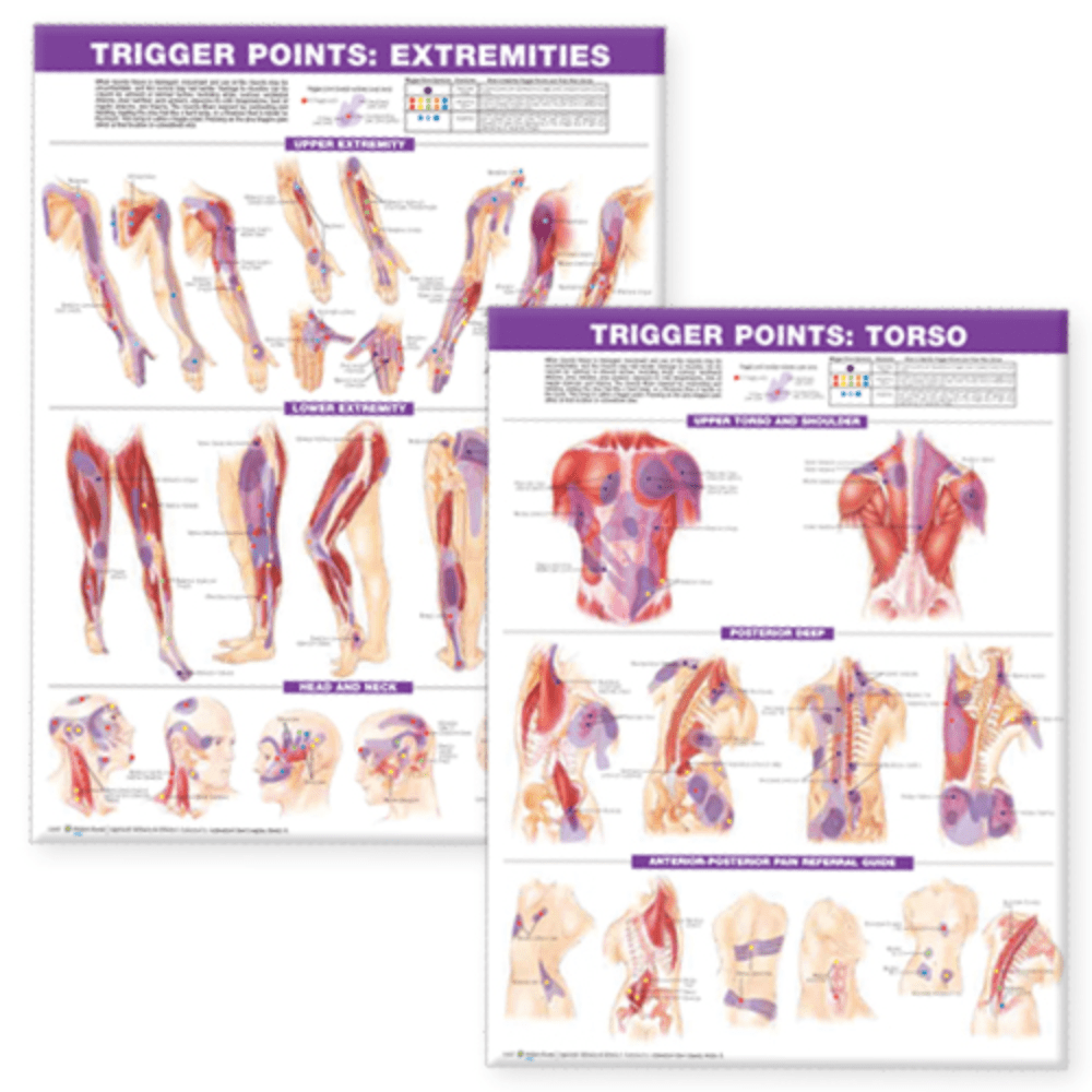 Trigger Point Chart Set: Torso &amp; Extremities